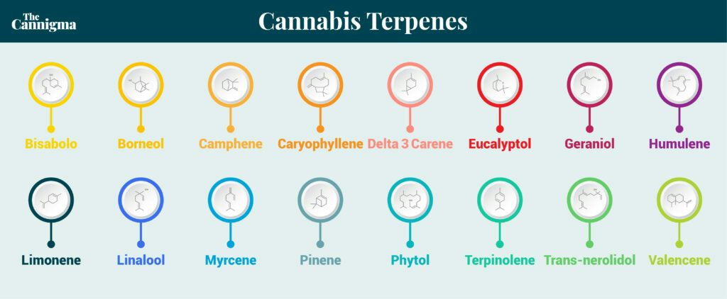 cannabis Terpene